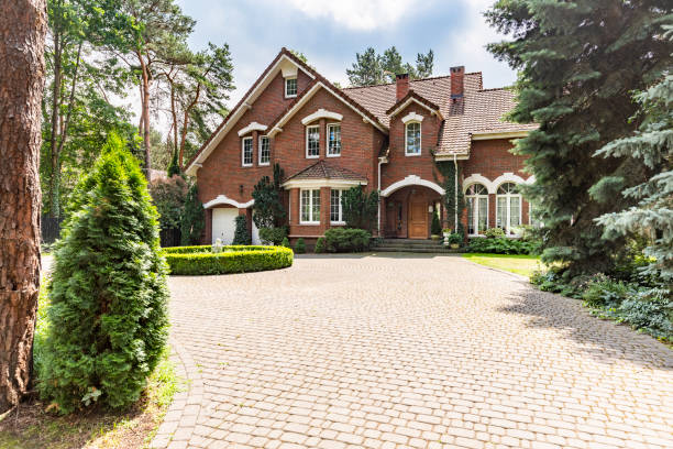 Best Local Driveway Pavers  in Mackinaw, IL